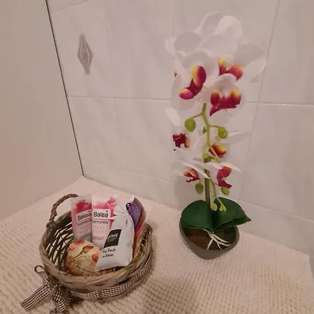 Apartment Antonio