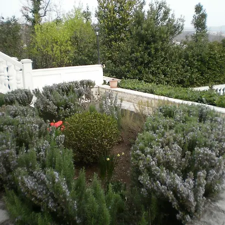 Apartment Antonio